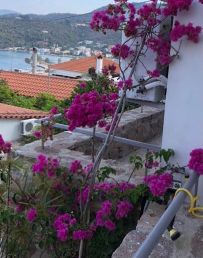 Veranda Blue - Poros Poros Town 外观 照片